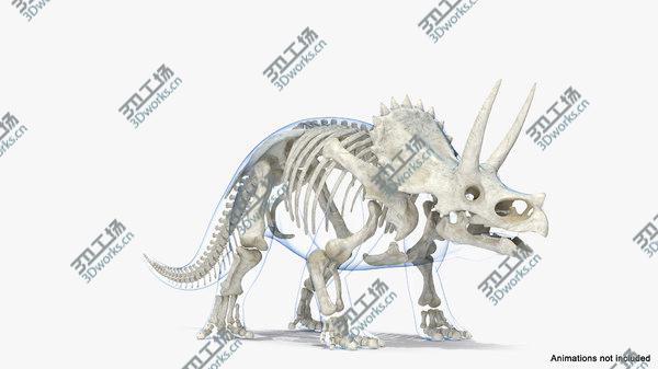 images/goods_img/20210312/Triceratops Skeleton with Transparent Skin Rigged 3D model/3.jpg